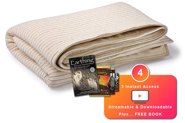 Earthing grounding online blanket